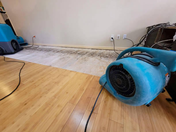 Professional Water Damage Repair technician working in Mooreville, MS